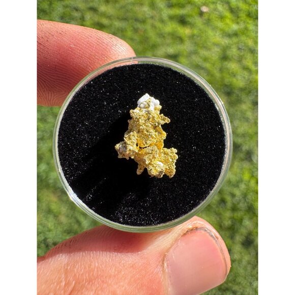 California Native Gold Crystal - 0.84 grams - Picture 3 of 5
